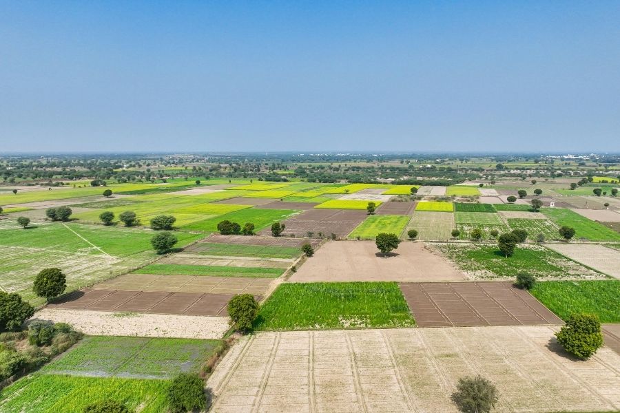 Terrenos. FRANCISCO RODRÍGUEZ CAÑAS en Arcos De La Frontera