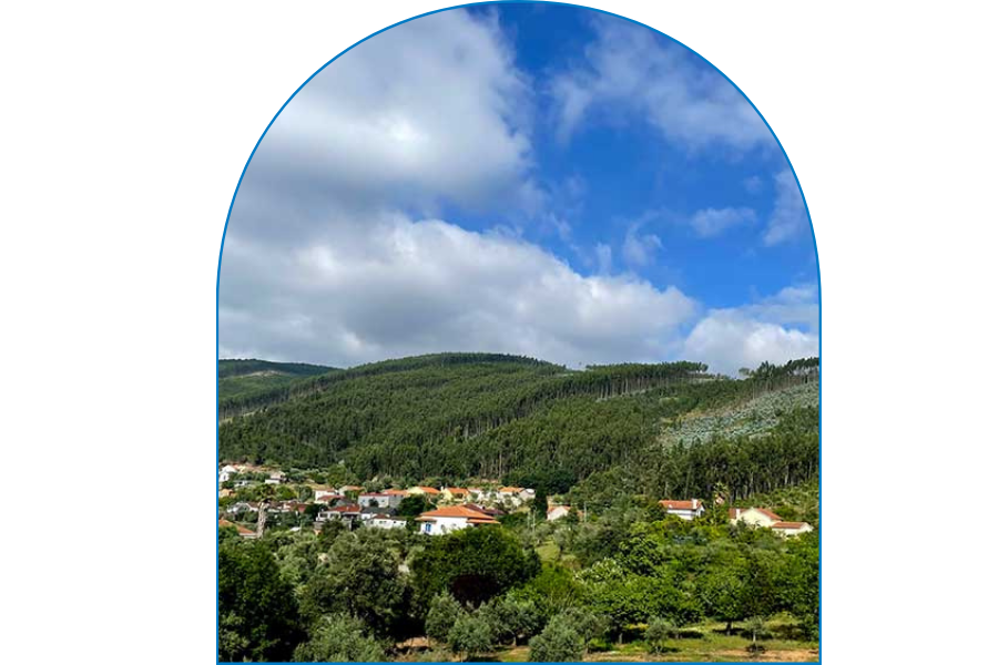 Tu agencia inmobiliaria de confianza en Arcos de la Frontera. FRANCISCO RODRÍGUEZ CAÑAS en Arcos De La Frontera Tu agencia inmobiliaria de confianza en Arcos de la Frontera. FRANCISCO RODRÍGUEZ CAÑAS en Arcos De La Frontera