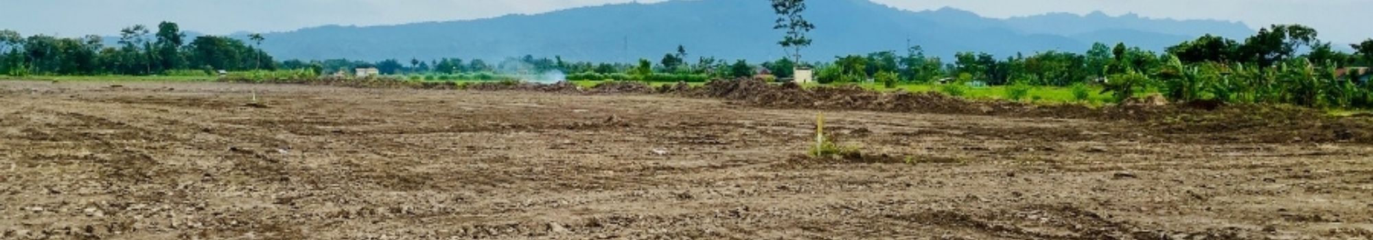 Amplia oferta de solares. ARCOTIERRA INMOBILIARIA en Arcos De La Frontera