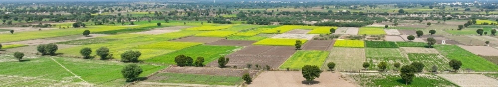 Gran oferta de terrenos en Arcos de la Frontera. ARCOTIERRA INMOBILIARIA en Arcos De La Frontera Gran oferta de terrenos en Arcos de la Frontera. ARCOTIERRA INMOBILIARIA en Arcos De La Frontera