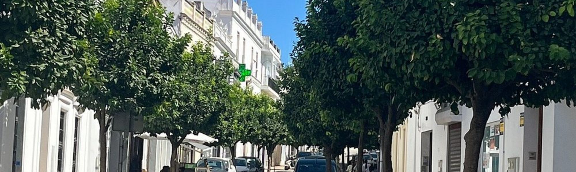 Descubra nuestra gran oferta inmobiliaria en Arcos de la Frontera. FRANCISCO RODRÍGUEZ CAÑAS en Arcos De La Frontera